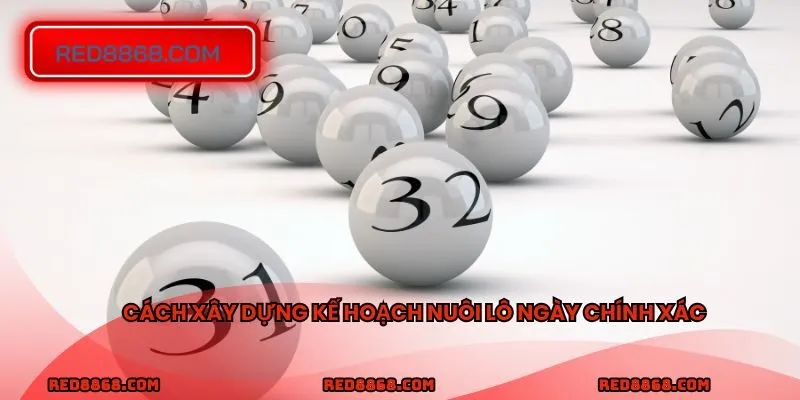 Cách xây dựng kế hoạch nuôi lô ngày chính xác