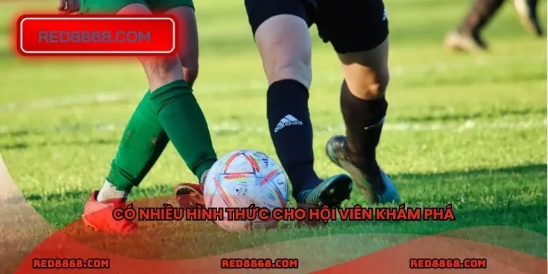 Có nhiều hình thức cho hội viên khám phá