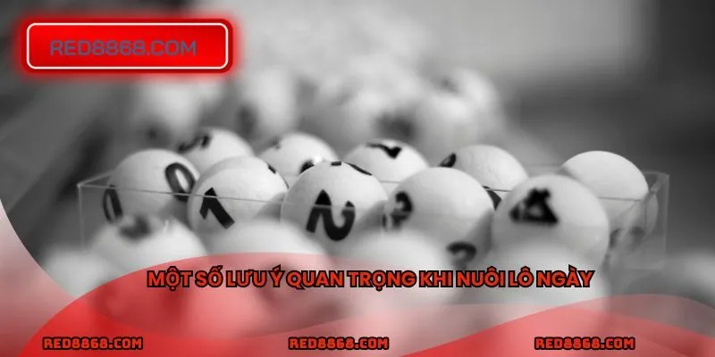 Một số lưu ý quan trọng khi nuôi lô ngày