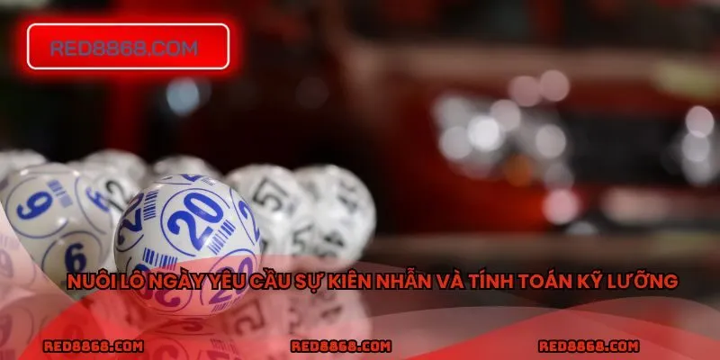 Nuôi lô ngày yêu cầu sự kiên nhẫn và tính toán kỹ lưỡng